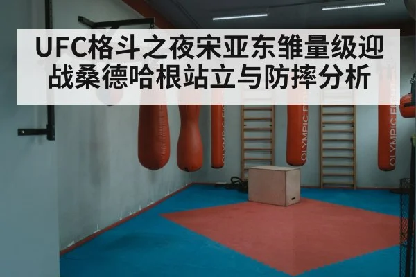 boxing punch training gym