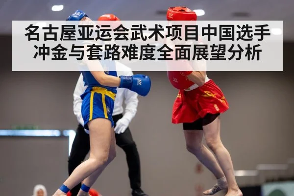wushu martial arts competition
